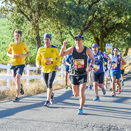 Coureurs évoluant sur une route de campagne ensoleillée avec des vignobles en arrière-plan.
