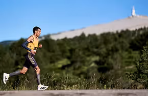 semimarathonventoux.